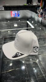 BONE ANTH CO CINZA LOGO AC CINZA - Imagem 2