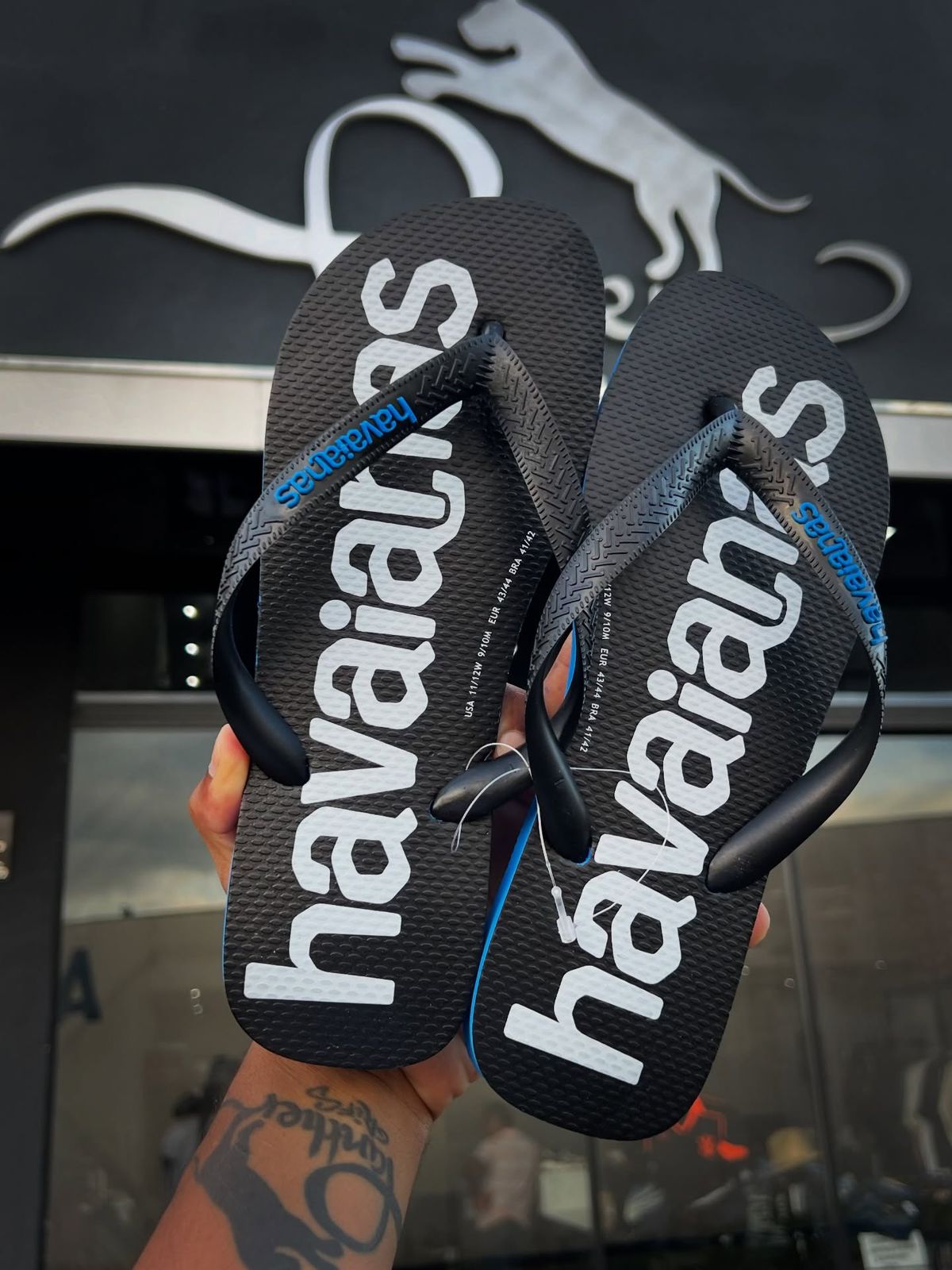 WhatsApp Image 2026-02-25 at 16.23.26 (1) HAVAIANAS 43/44 LOGOMANIA AZUL BRILHANTE - Imagem 1